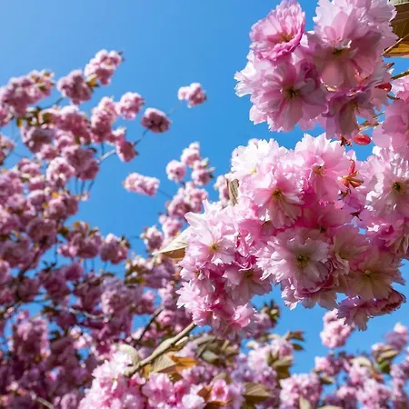 3 Bedroom Awesome In Sydals *